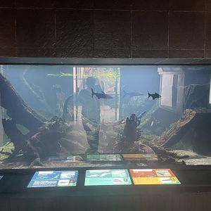 mekong river tank - dunia air tawar