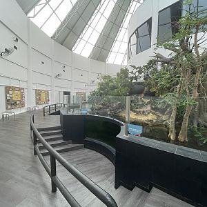 river monsters tank - dunia air tawar