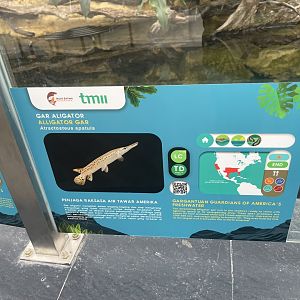 aligator gar signage - dunia air tawar