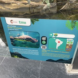 pirarucu signage - dunia air tawar