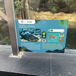 tapah signage - dunia air tawar