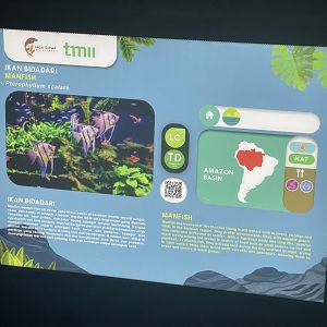 freshwater angelfish signage (1) - dunia air tawar