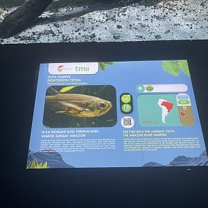 payara signage - dunia air tawar