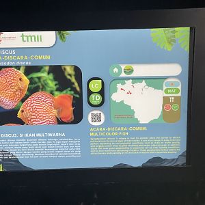 discus signage (1) - dunia air tawar