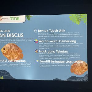discus signage (2) - dunia air tawar