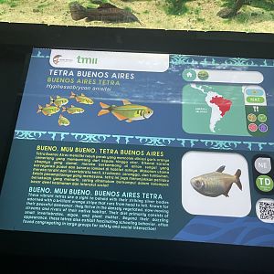 buenos aires tetra signage - dunia air tawar