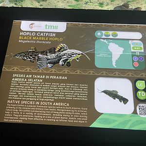 black marble hoplo signage - dunia air tawar