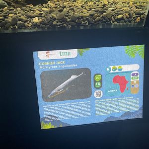 cornish jack signage - dunia air tawar