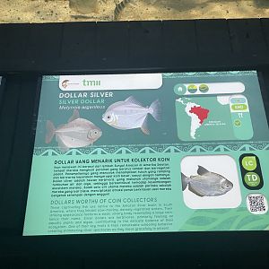 silver dollar signage - dunia air tawar