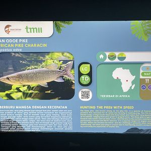 odoe pike signage (1) - dunia air tawar