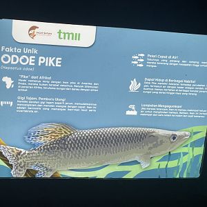 odoe pike signage (2) - dunia air tawar