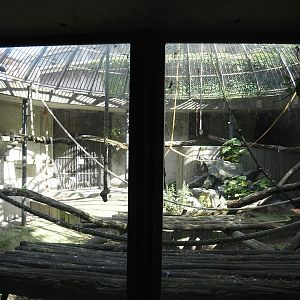 Gorilla or smaller primate separation exhibit next to gorilla exhibit, 2024-06-30