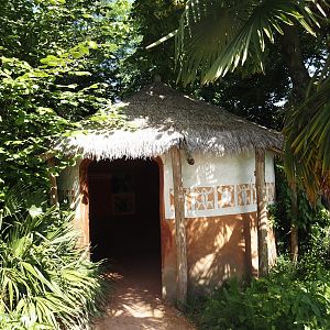 African rainforest education hut, 2024-06-30