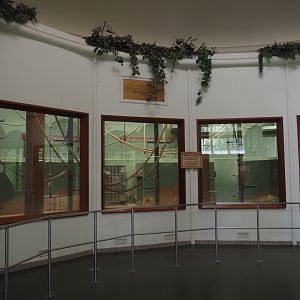 Western lowland gorilla indoor exhibits, 2024-06-30