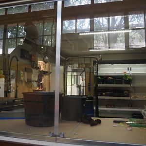 Gorilla kitchen, 2024-06-30