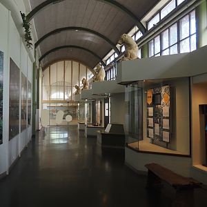 Riviera Hall - Ape and pachyderm wing, 2024-06-30