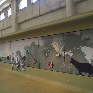 Pygmy hippopotamus education wall, 2024-06-30