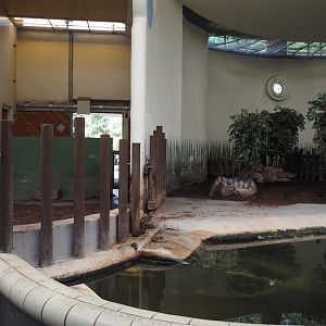 Pygmy hippopotamus indoor housing, 2024-06-30