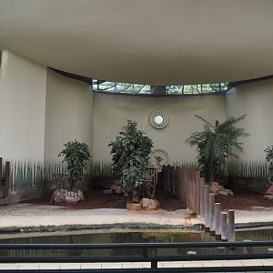 Pygmy hippopotamus indoor housing, 2024-06-30