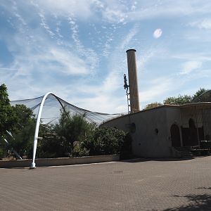 Renovated old predator house with gelada exhibits, 2024-06-30