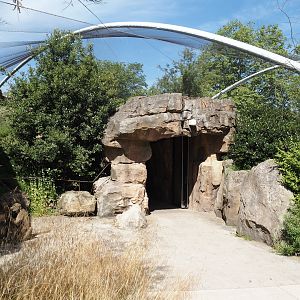 Entrance to gelada indoor housing in renovated old predator house, 2024-06-30