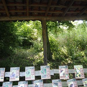 Native wildlife area in the former wolf exhibit, 2024-06-30