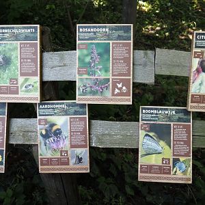 Native wildlife area in the former wolf exhibit - Native wildlife and plant signage, 2024-06-30