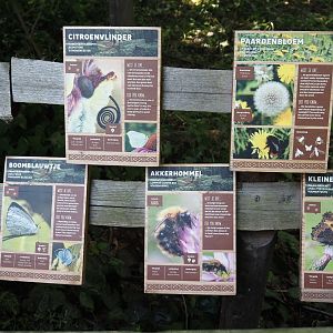 Native wildlife area in the former wolf exhibit - Native wildlife and plant signage, 2024-06-30