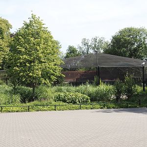 Greater flamingo and waterfowl aviary, 2024-06-30