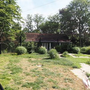 Greater flamingo and waterfowl aviary, 2024-06-30