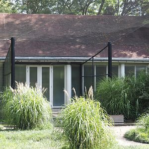 Greater flamingo and waterfowl building, 2024-06-30