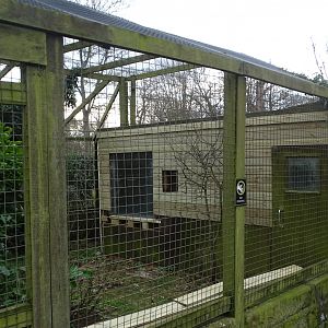 Joinery work on Capuchin House, 3rd March 2025
