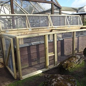 Joinery work on "Cavy Country", 13th March 2025