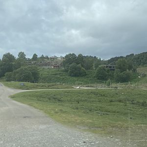 View of polar bear and markhor enclosures