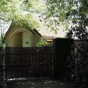 Off-show bird house behind the flamingo and waterfowl aviary, 2024-06-30