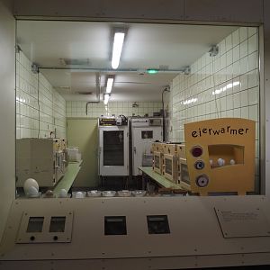 Incubator room in the Victoria wing of the Riviera Hall, 2024-06-30