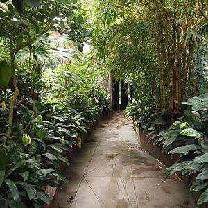 Victoria greenhouse section of the Riviera Hall - Walk-through exhibit, 2024-06-30