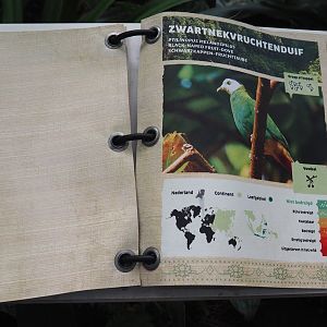 Victoria greenhouse section of the Riviera Hall - Walk-through exhibit bird identification book, 2024-06-30