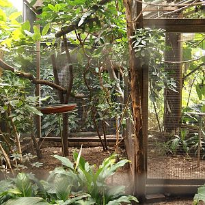 Victoria greenhouse section of the Riviera Hall - Separation aviary for walk-through exhibit, 2024-06-30