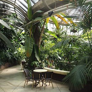 Victoria greenhouse section of the Riviera Hall - Victoria Conservatory, 2024-06-30