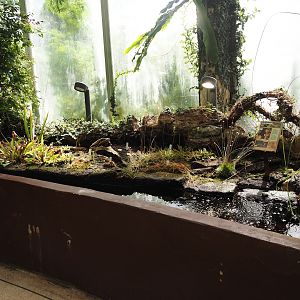 Victoria greenhouse section of the Riviera Hall - Carnivorous plant area, 2024-06-30