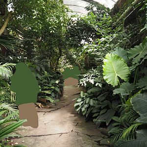 Victoria greenhouse section of the Riviera Hall - Walk-through exhibit, 2024-06-30