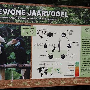 Wreathed hornbill signage, 2024-06-30