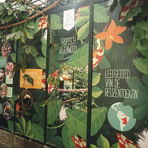 Victoria greenhouse section of the Riviera Hall - Toco toucan signage, 2024-06-30