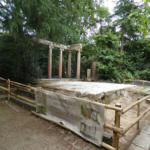 06 2025 - Works at the northern bald ibises