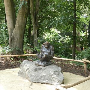 06 2025 - Chimp bronze statue, now placed at new enclosure