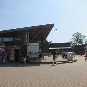 Fota Wildlife Park - Gift shop