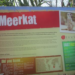 Fota Wildlife Park - Informative sign