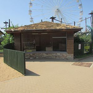 Fota Wildlife Park - Meerkat indoor quarter