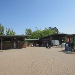 Fota Wildlife Park - Entrance plaza